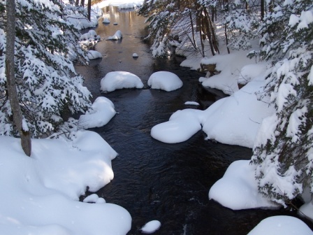 Cold Stream Brook