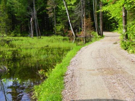 Water Almost to the Road