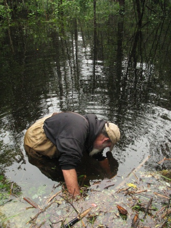 w trout ken hall beaver culvert 4 IMG_6917