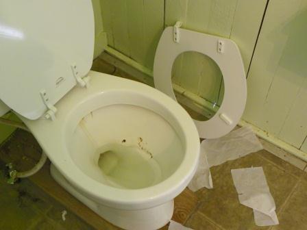 broken toilet seat