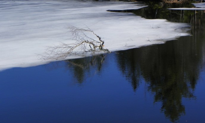 ice wednesday branch