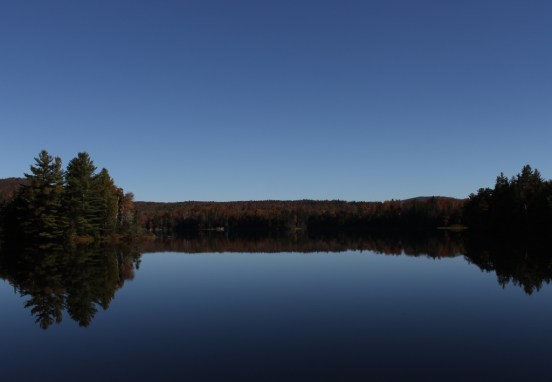 Fish in a Barrel Pond, Fall 2013