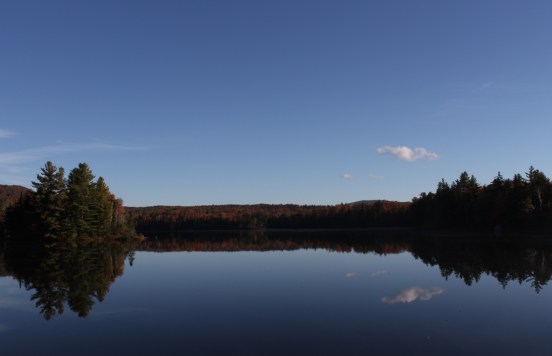 Fish in a Barrel Pond, Fall 2013