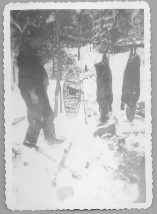 A Man, His Snowshoes, and Two Beavers