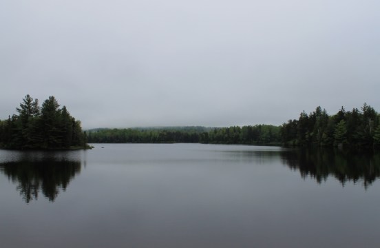 Fish in a Barrel Pond, spring 2013