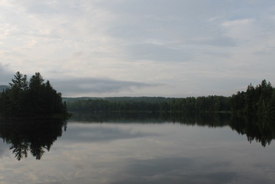 Fish in a Barrel Pond, late spring 2013