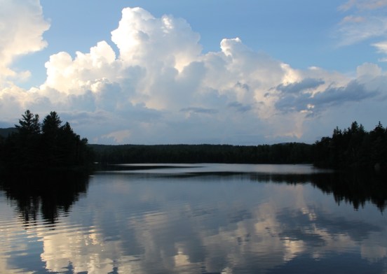 Fish in a Barrel Pond, Summer 2013