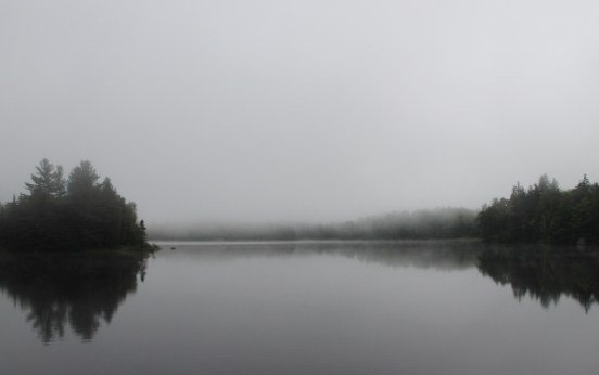 Fish in a Barrel Pond, Summer 2013