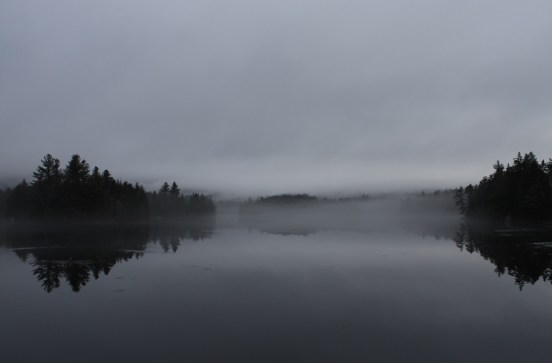 Fish in a Barrel Pond, Winter 2013