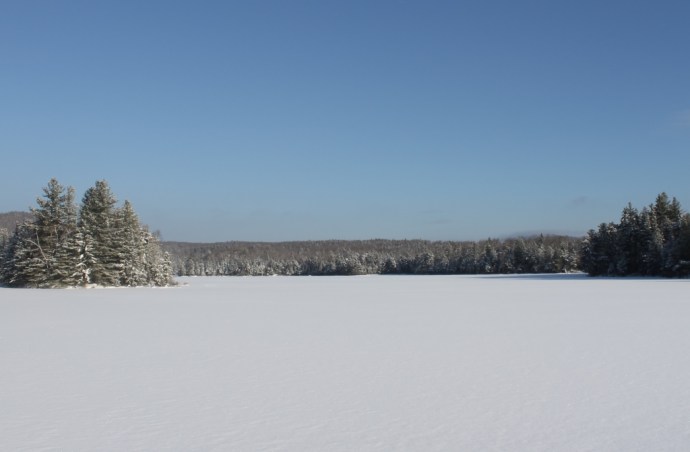 Fish in a Barrel Pond, Winter 2013