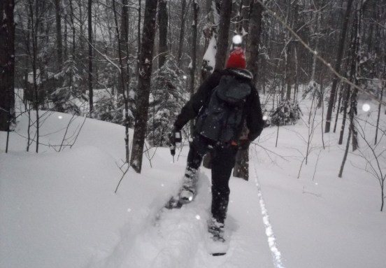 Quill Gordon, looking for a tree to tap.