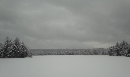 Fish in a Barrel Pond, March 12