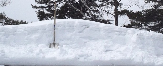 A Whole Winter's Accumulation 