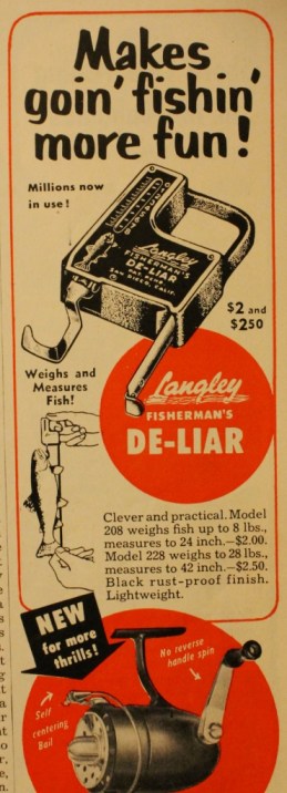 "Clever and practical."