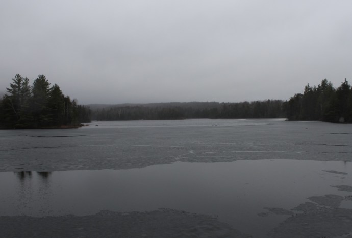 Fish in a Barrel Pond, April 23, 2014