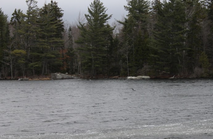 Two Hours After Ice Out