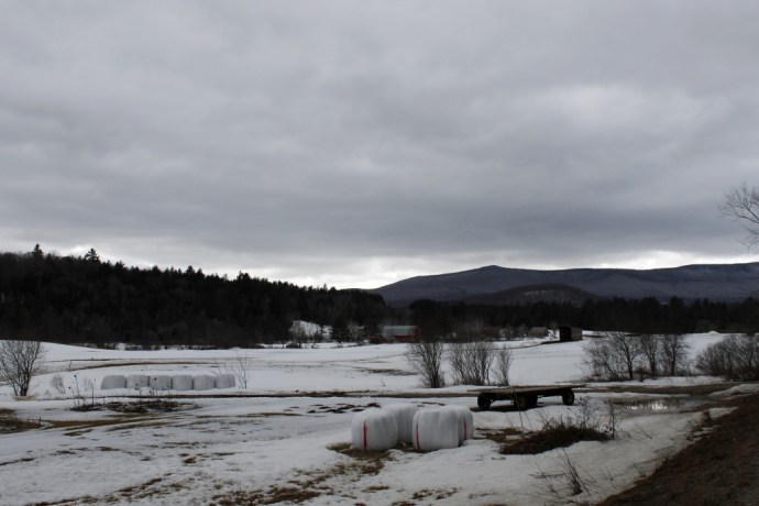 Somewhere in the vicinity of Sugar Bob's