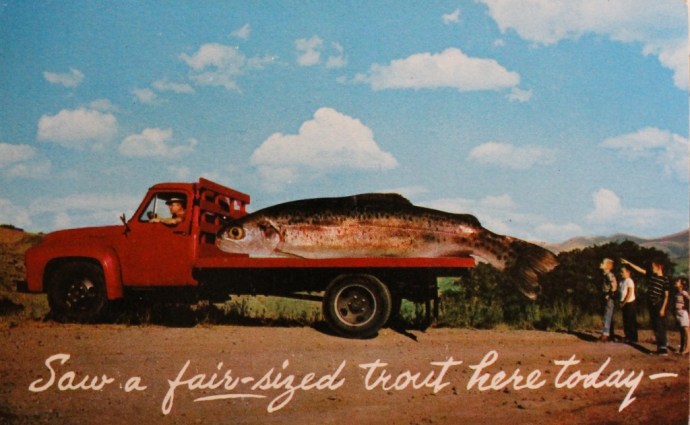 A Slow Day, and Most of the Fish were Small