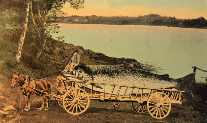 Back in the Good Old Days