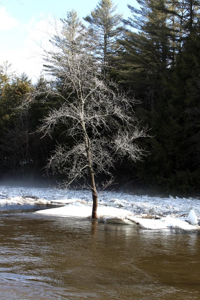 Something's Got to Give