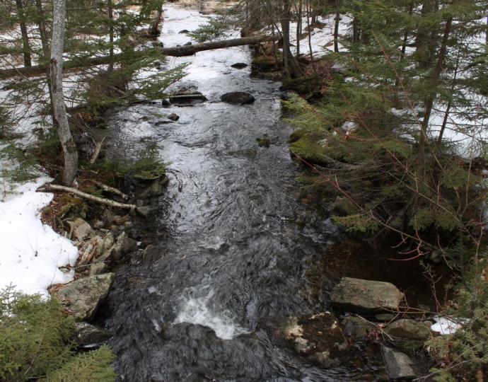 Not a Typical View in February