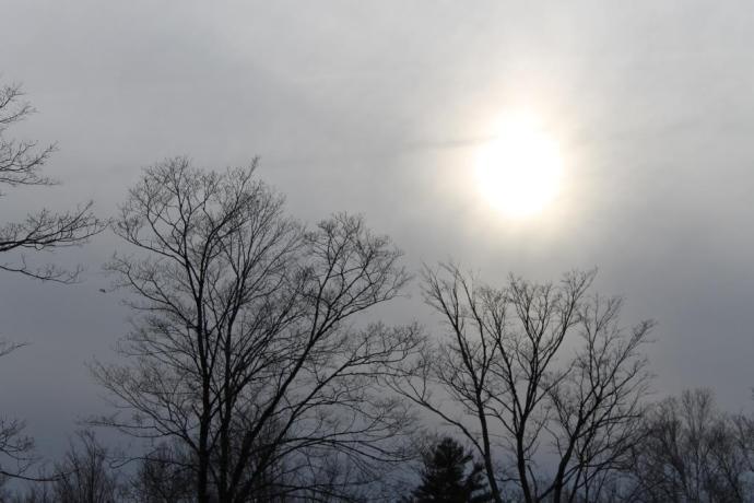 From the Al Fresco Dining Area