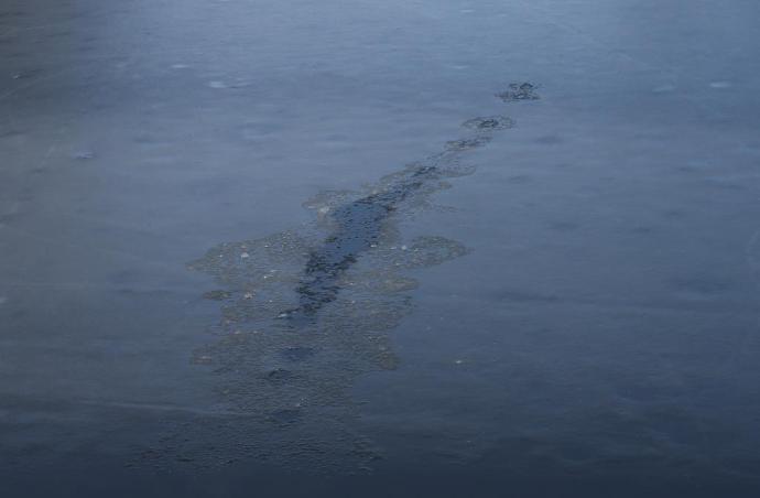 Not Enough to Hold a Goose