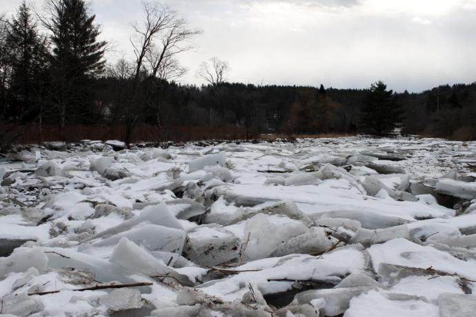 West River, February 20