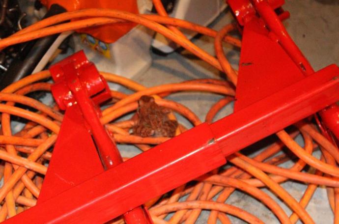 Looking for Love in All the Wrong Places