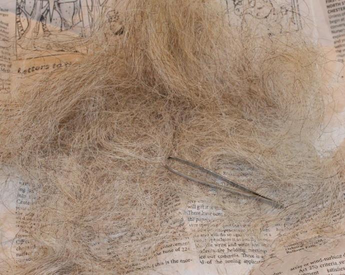 It Took Forever and Hurt Like Hell