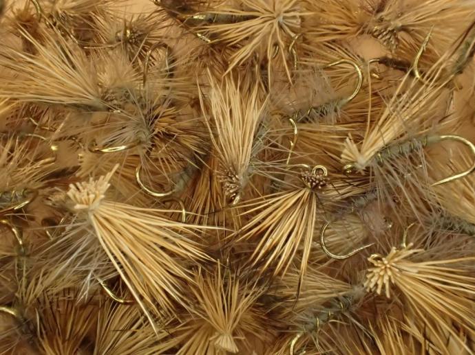 Sunday Afternoon Go-To