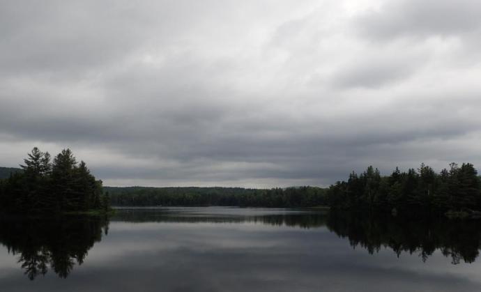 Fish in a Barrel Pond, June 28