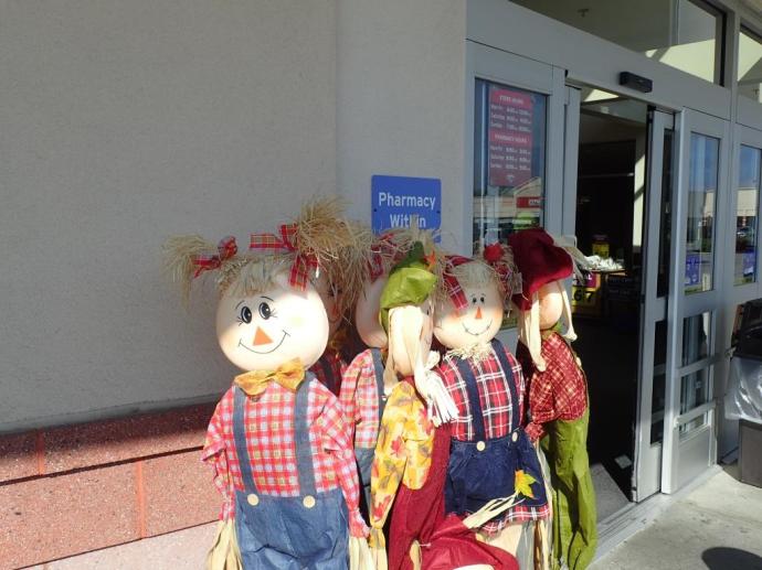 Saw a scarecrow down at Trader Joe's and his hair was... perfect!