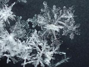 Snowflake, Nonesuch Mountain Images